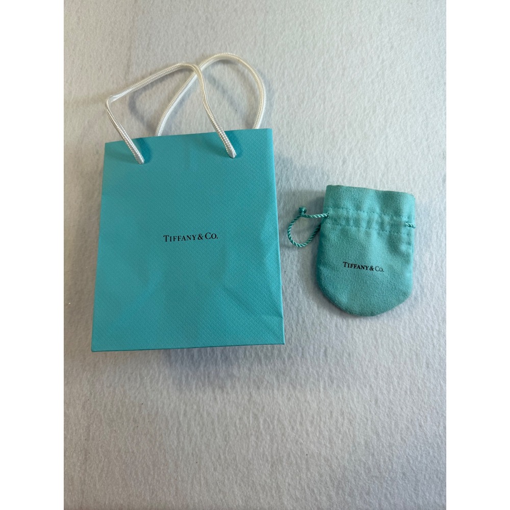 Tiffany & Co Blue Paper Gift Bag and Drawstring Jewelry Pouch Set